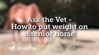 Ask the Vet  How to put weight on a senior horse [upl. by Anirdua301]