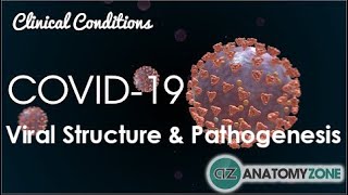 Coronavirus COVID19  Viral Structure amp Pathogenesis [upl. by Coryden]