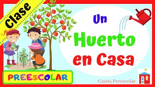 UN HUERTO EN CASA Aprendeencasa PREESCOLAR [upl. by Adnawak507]