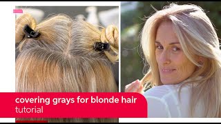 How to Cover Gray Hair with Koleston Perfect  Wella Professionals [upl. by Ayifas]