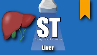 Liver Ultrasound Protocol [upl. by Aivle]