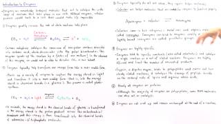 Properties of Enzymes [upl. by Filbert]