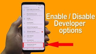 How to Enable  Disable Developer Option on Android 2019 [upl. by Aleafar]