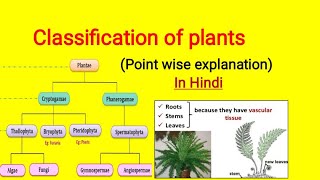 Classification of plants in Hindi  Cryptogam and Phanerogam plantclassification [upl. by Deehahs885]