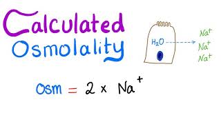 Calculated Osmolality [upl. by Eliam45]