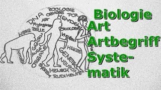 Art  Artbegriff  Systematik [upl. by Nosyd33]