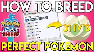 HOW TO BREED PERFECT IV POKEMON  Pokemon Sword and Shield [upl. by Llennhoj]