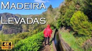 Madeira Levada Walks • 4K [upl. by Rosalind]