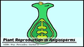 Plant Reproduction in Angiosperms [upl. by Wolliw]