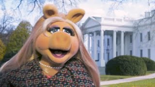 Miss Piggy Goes To Washington  The Muppets [upl. by Verdie860]