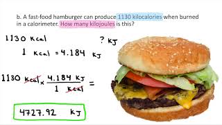 Converting between Kilocalories and Kilojoules [upl. by Lattimer]