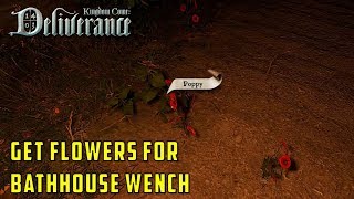 Where to get flowers for Klara the bathhouse wench  Next to Godliness Kingdom Come Deliverance [upl. by Nosyarg]