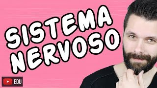 SISTEMA NERVOSO  FISIOLOGIA  Aula  Biologia com Samuel Cunha [upl. by Aneerol]