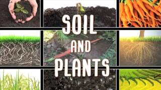 All About soil [upl. by Jewell]