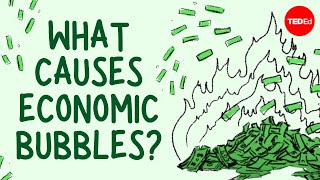 What causes economic bubbles  Prateek Singh [upl. by God709]