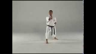 1st Kata  Taigyoku Shodan [upl. by Kcirrej970]