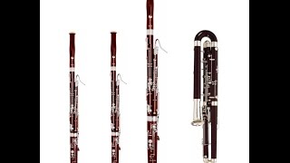 The Missing Bassoon [upl. by Alyac]