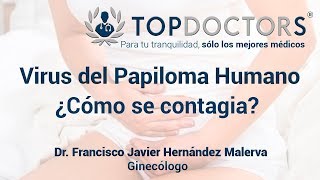 Virus del Papiloma Humano ¿Qué es y cómo se contagia [upl. by Sucram]