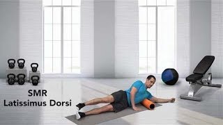 How to do a Self Myofascial Release SMR Latissimus Dorsi [upl. by Enilrad]