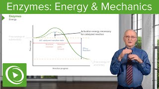 Enzymes Activation Energy amp Mechanics – Biochemistry  Lecturio [upl. by Llerrot]