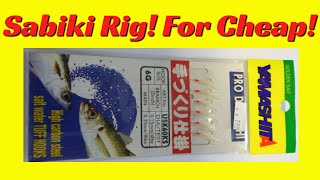 How to make a Sabiki Rig  Fishing in Hawaii  Catch Live Bait  Catch Bait in Florida  Googly Eye [upl. by Asfah]