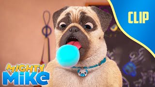 🫧 Bubble Dog 🐶 Mighty Mike  Cartoon Animation for Kids [upl. by Amary]