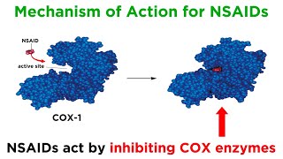 Introduction to Nonsteroidal AntiInflammatory Drugs NSAIDs [upl. by Lenny572]