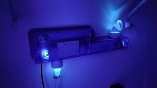 UV Sterilizer TMC Vecton 2 Installed and Tank Footage  25 Watt Model [upl. by Yrreb]