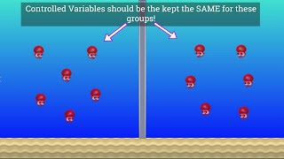 Variables in Science Independent Dependent and Controlled [upl. by Shepley472]