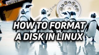 How to Partition and Format a Disk in Linux [upl. by Ajet313]