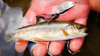 How To FISH Rooster Tails For TROUT In Creeks Rivers amp Streams [upl. by Isis316]