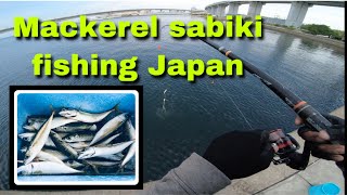 Japan traditional fishing HOW TO CATCH MACKEREL FISH SHORE FISHING JAPAN ep3  sabiki fishing [upl. by Narual73]