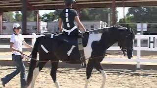 Hippotherapy Ride Along Visualizing How Equine Movement Benefits Clients [upl. by Ahsie]