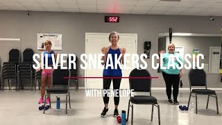 Silver Sneakers Classic routine 1 [upl. by Aiz410]