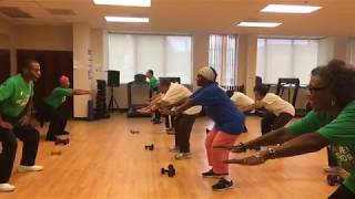 Strength Training Workout for Older Adults [upl. by Odlonyer]