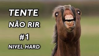 Tente Não Rir Nível Hard 1 [upl. by Strohben]