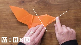 How to Fold Five Incredible Paper Airplanes  WIRED [upl. by Ihcelek]