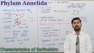 107 Phylum Annelida  Kingdom Animalia Fsc biology class 12 [upl. by Wolf]