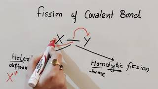 Fission of Covalent Bond  Inductive Effect  Hyperconjugation Class 11Chemistry [upl. by Behn]