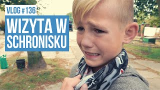 Wizyta w schronisku  VLOG 136 [upl. by Marela]