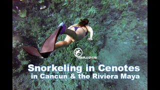 Snorkeling in Cenotes in Cancun amp the Riviera Maya [upl. by Sall243]