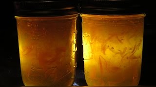 How to make Orange Marmalade  FAST 1 Hour  Useful Knowledge [upl. by Eemyaj]