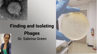 Finding and Isolating Phages [upl. by Aicnelev572]