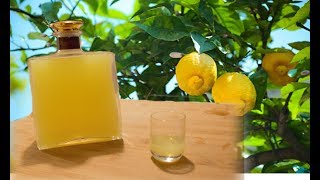 Homemade Limoncello  Italian lemon liqueur recipe [upl. by Yelsnia]