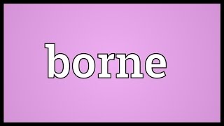 Borne Meaning [upl. by February433]