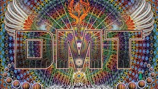 The Spirit molecule Diméthyltryptamine DMT English documentary [upl. by Caundra441]