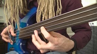 Fretless Funk Rock Bass Grooves [upl. by Ecirbaf853]