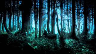 Frederic Chopin  Mysterious Forest [upl. by Harris875]