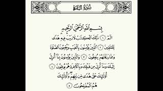 Surat AlBaqara [upl. by Ardnod43]