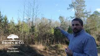 Identifying Survey Boundary Markers on Property Lines [upl. by Jock]